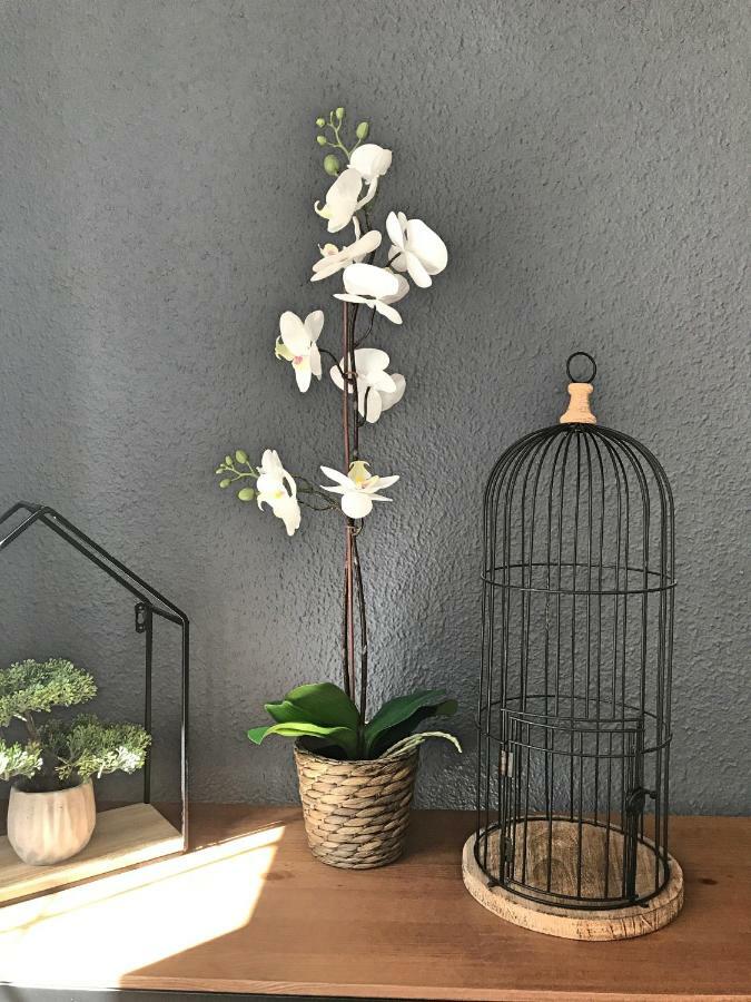 Bruno'S Home Málaga Dış mekan fotoğraf